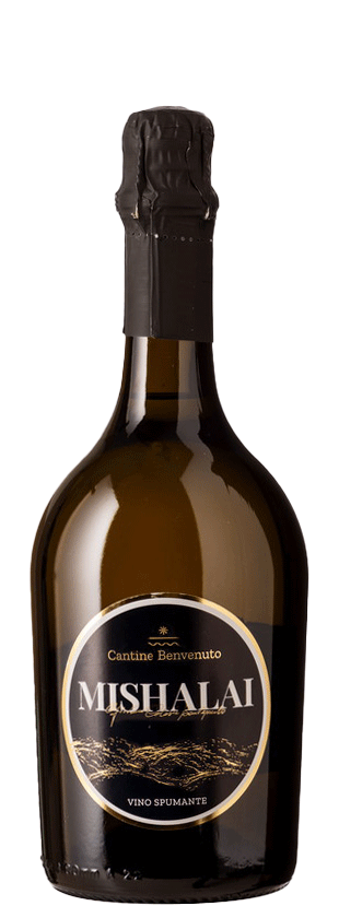 benvenuto_mishalai