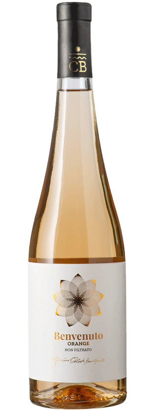 benvenuto_orange