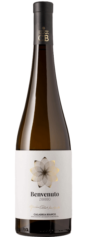 benvenuto_zibibbo